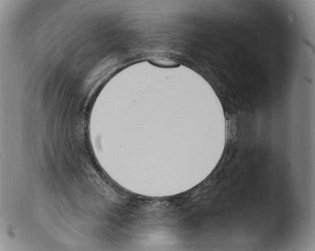 X0000103490243200810241108