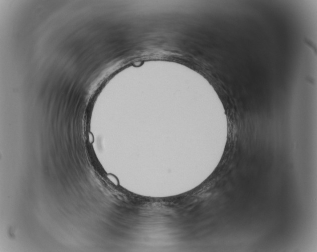 X0000103490244200810241108