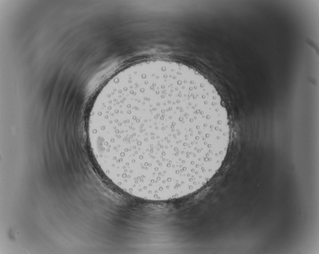 X0000103490245200810241108
