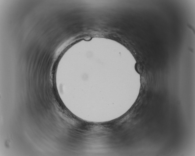 X0000103490246200810241108