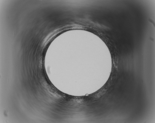 X0000103490247200810241108