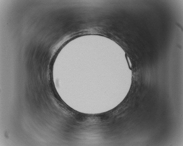 X0000103490248200810241108