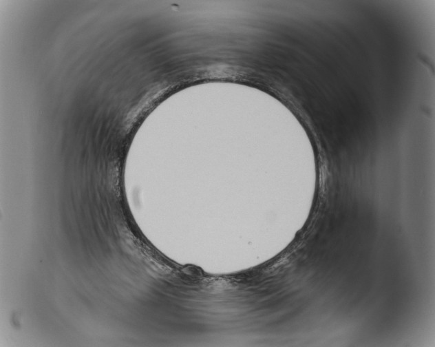 X0000103490249200810241108