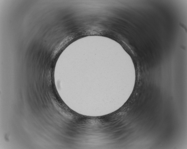 X0000103490250200810241108