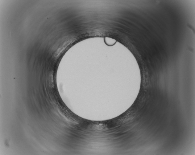 X0000103490251200810241108