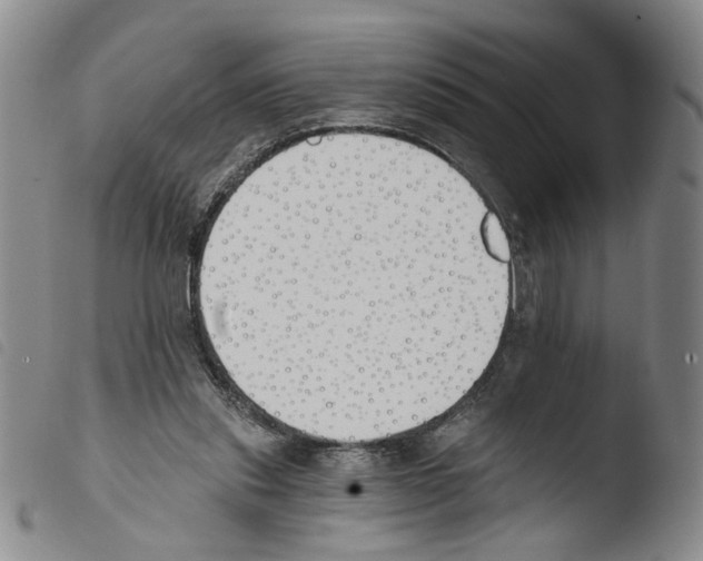 X0000103490253200810241108