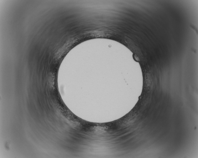 X0000103490255200810241108