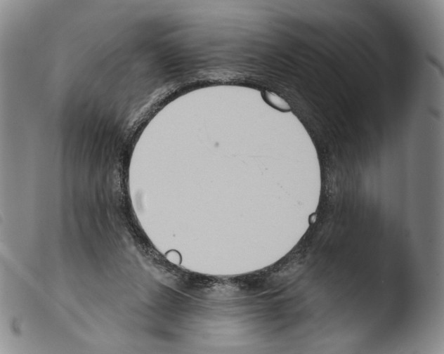 X0000103490256200810241108