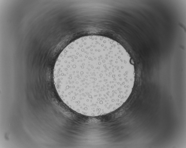 X0000103490257200810241108