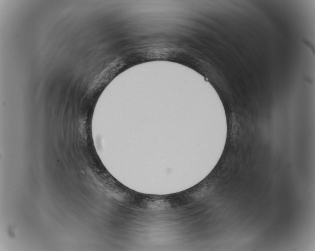 X0000103490258200810241108
