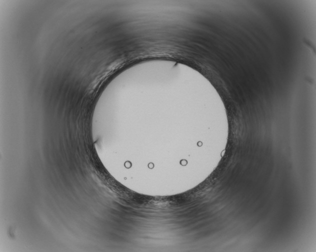 X0000103490260200810241108
