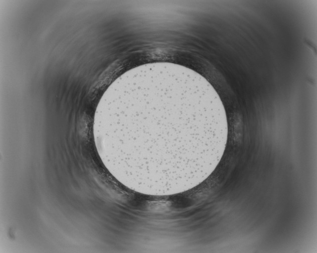 X0000103490266200810241108