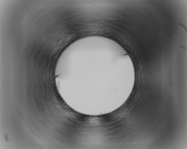 X0000103490268200810241108
