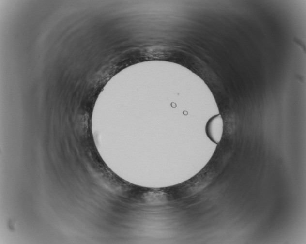 X0000103490271200810241108