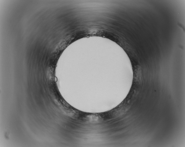 X0000103490272200810241108