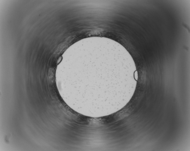 X0000103490273200810241108