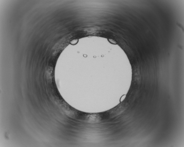 X0000103490275200810241108