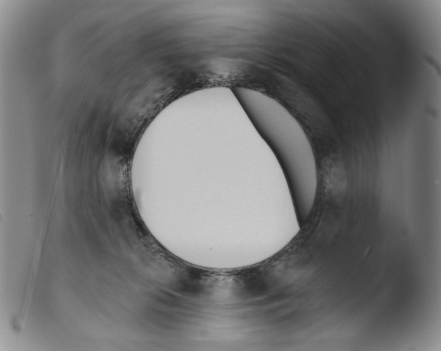 X0000103490276200810241108