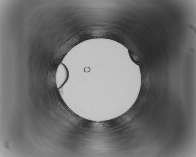 X0000103490277200810241108