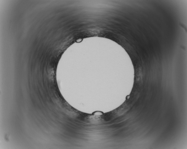 X0000103490279200810241108