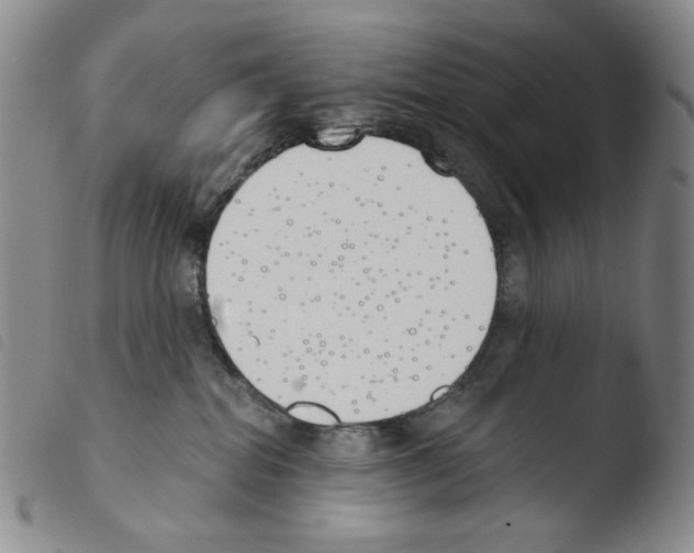 X0000103490282200810241108