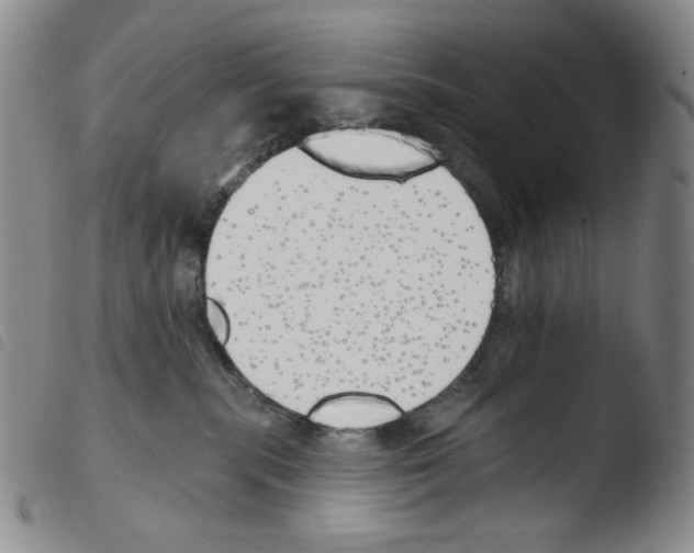 X0000103490283200810241108