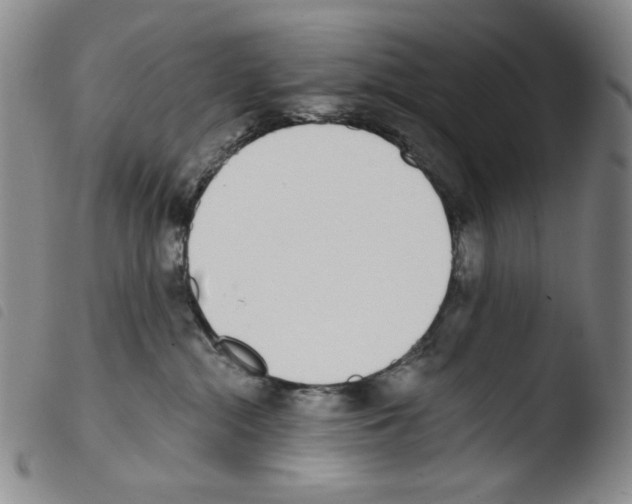 X0000103490284200810241108