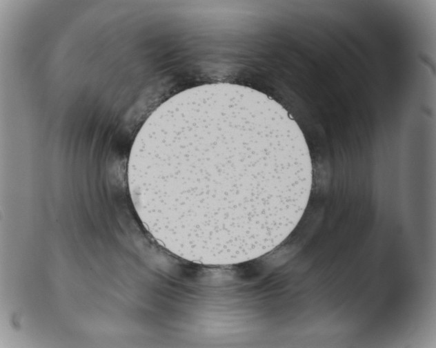 X0000103490286200810241109