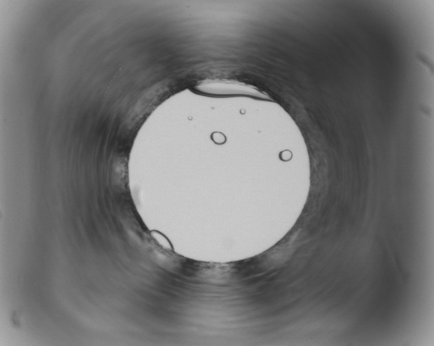 X0000103490288200810241109