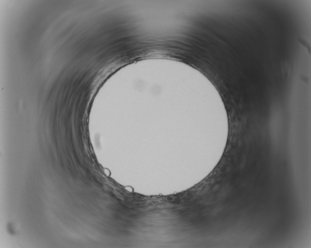 X0000103490289200810241108