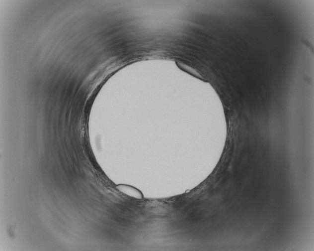 X0000103490290200810241108