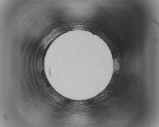 X0000103490291200810241108