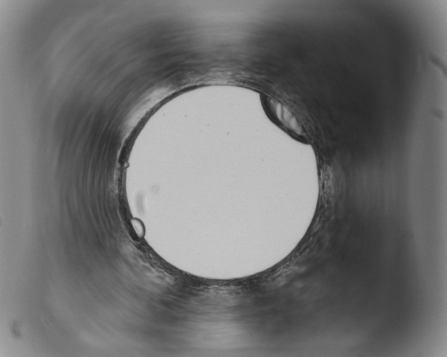 X0000103490292200810241108