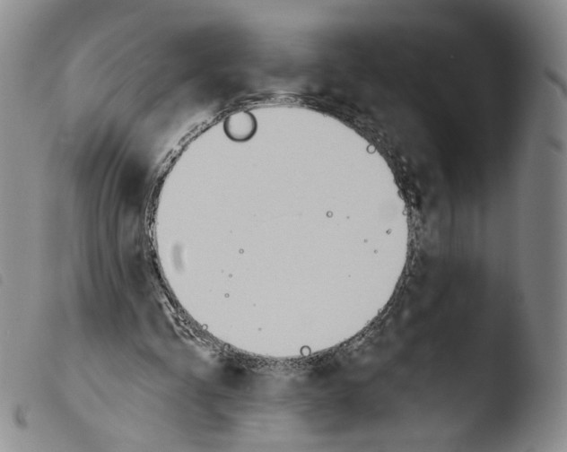 X0000103490293200810241108