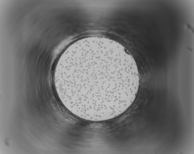 X0000103490294200810241108