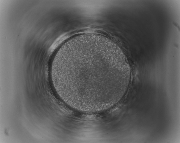 X0000103490295200810241108