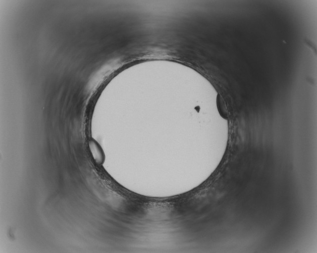 X0000103490296200810241108
