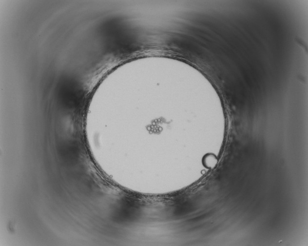 X0000103490297200810241108