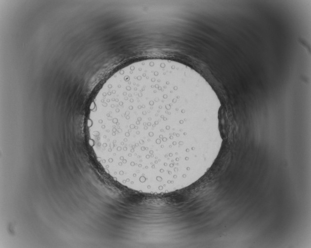X0000103490299200810241108