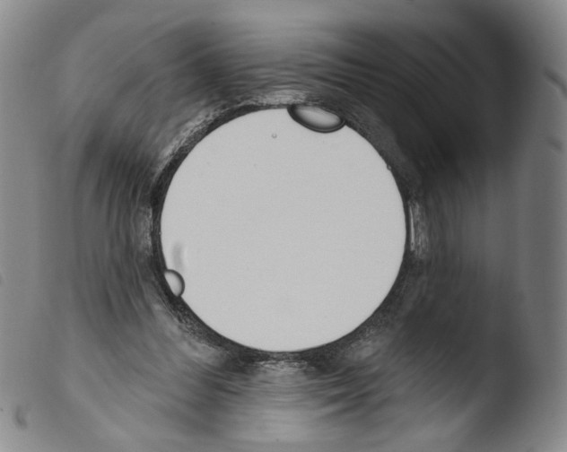 X0000103490300200810241108