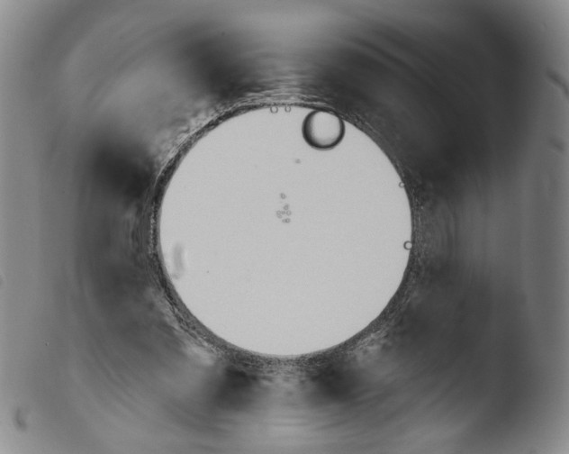 X0000103490301200810241108