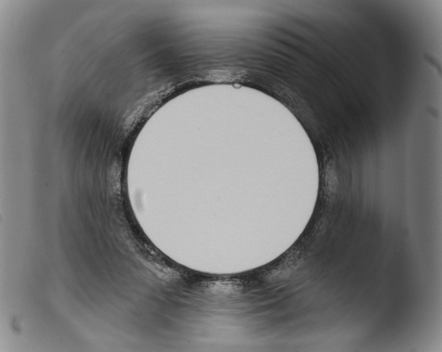 X0000103490303200810241108