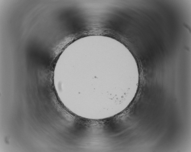 X0000103490305200810241108