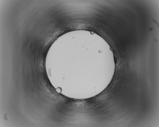 X0000103490306200810241108