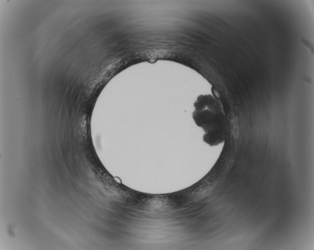 X0000103490308200810241107