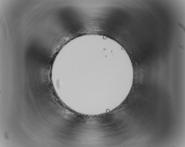 X0000103490309200810241107