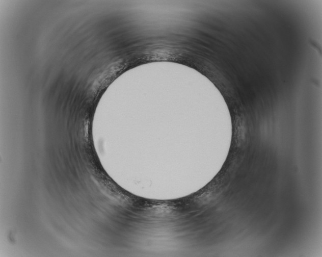 X0000103490310200810241107