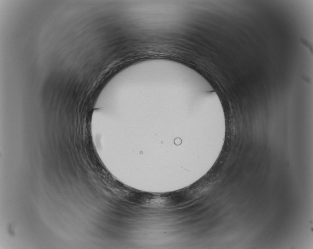 X0000103490312200810241107