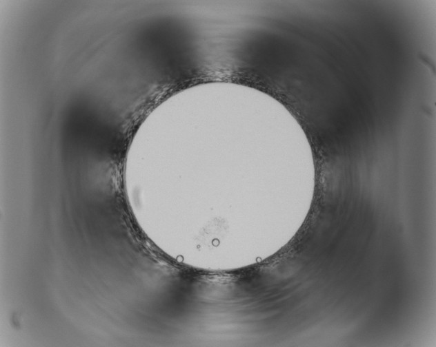 X0000103490313200810241107