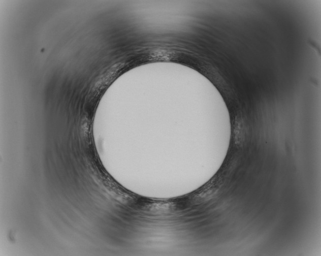 X0000103490314200810241107